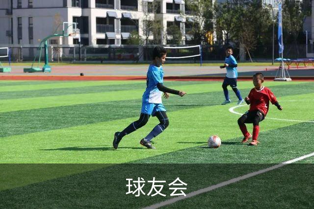 球友会公司介绍